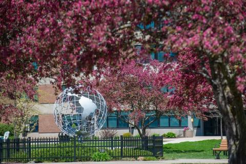 A stock photo of the campus globe. From the angle of the camera, red-flowered trees frame the top part of the globe itself. 