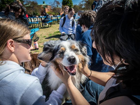 Two college students pet a border collie dog who is smiling.