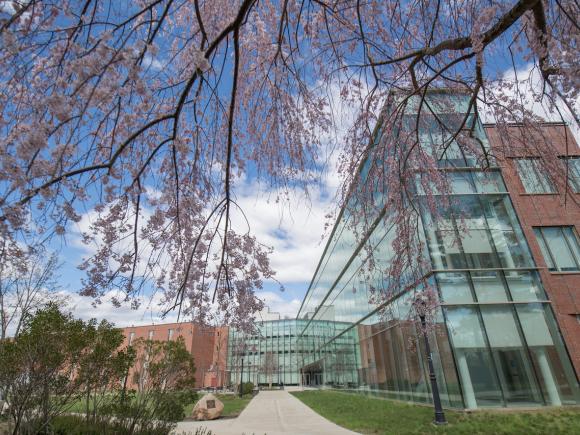 Nettie Stevens Science Center in the Spring with pink flowering tree branches in front of it.