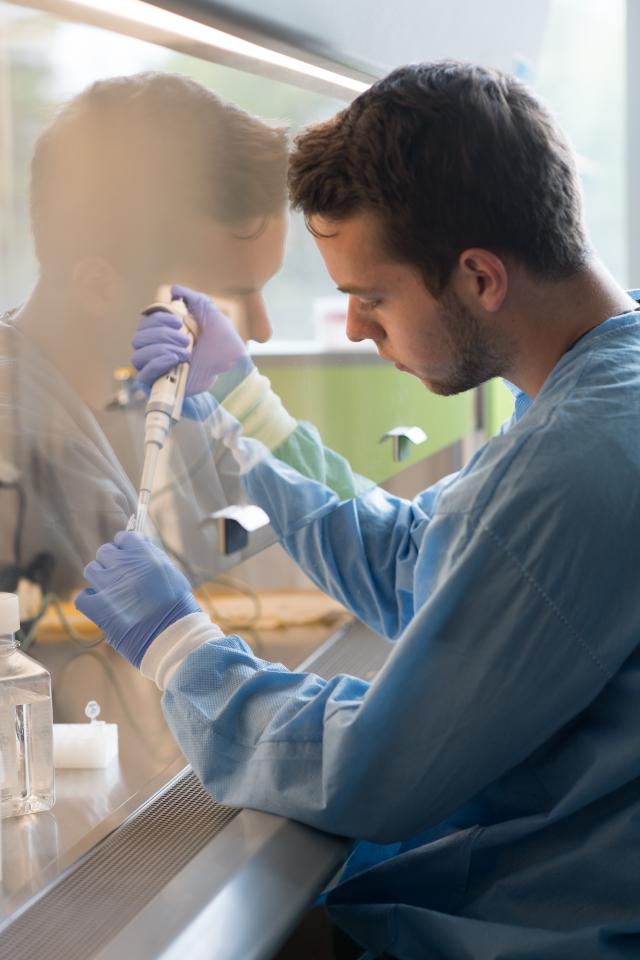 Student in protective gloves and lab coat, works under a vent hood in one of the labs in the Stevens Center