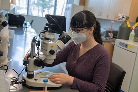 Biology student at a microscope