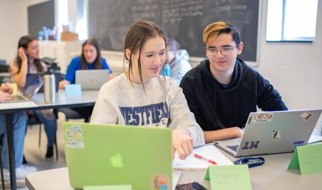 Female and male student working on their laptops together in mathematics class.