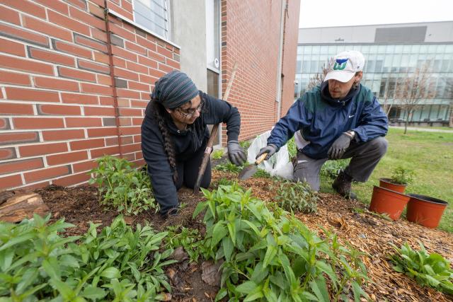 Two students planting together on Arbor Day.