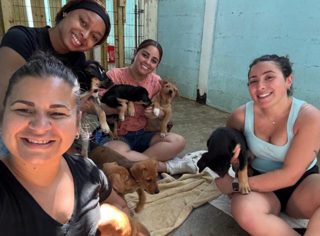 Group from the Nursing Go Global course volunteering with a local dog service organization in Puerto Rico