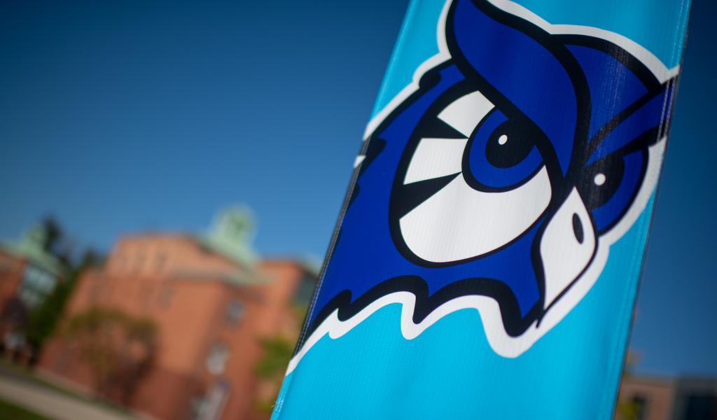University flag with mascot logo.