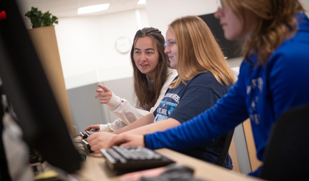 Three students at computer work stations working together wearing WSU shirts.