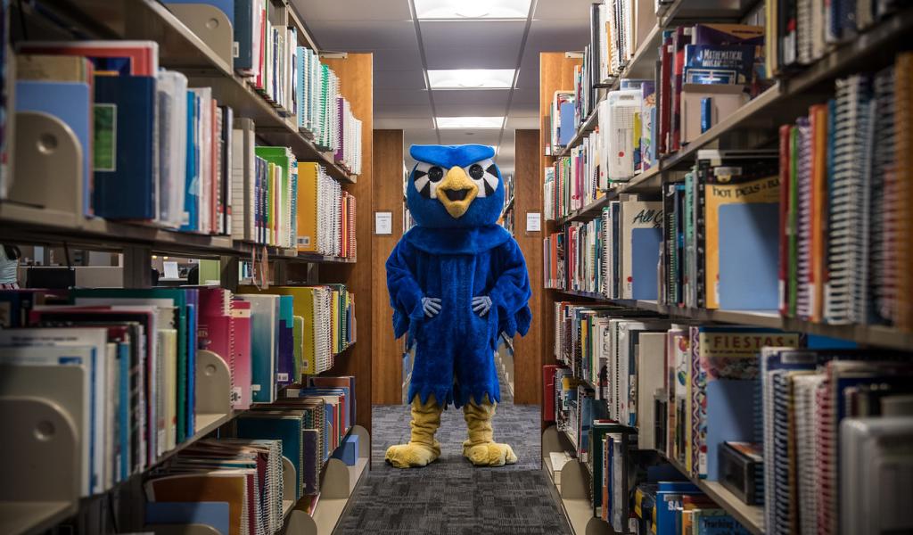 Nestor owl mascot in the library with shelves of books.