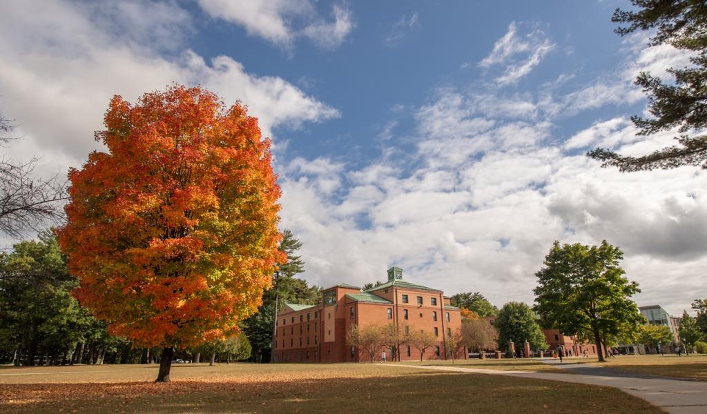 Campus in the fall featuring a tree with leaves turning orange with blue skies in the background.